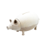 Pokladnička prasátko