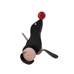 Plácačka lachtan s míčkem