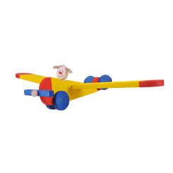 Pilot in the plane - big