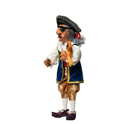 Pirát s papouškem